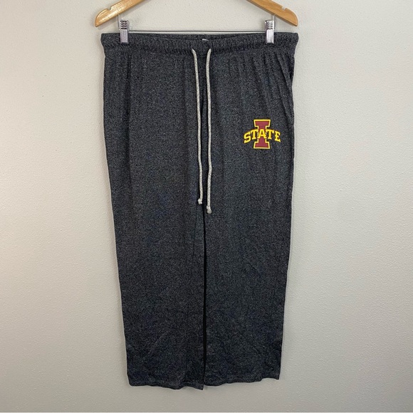 ✨Iowa State Cyclones Gray Sweatpants Women’s Size Large - Picture 1 of 7